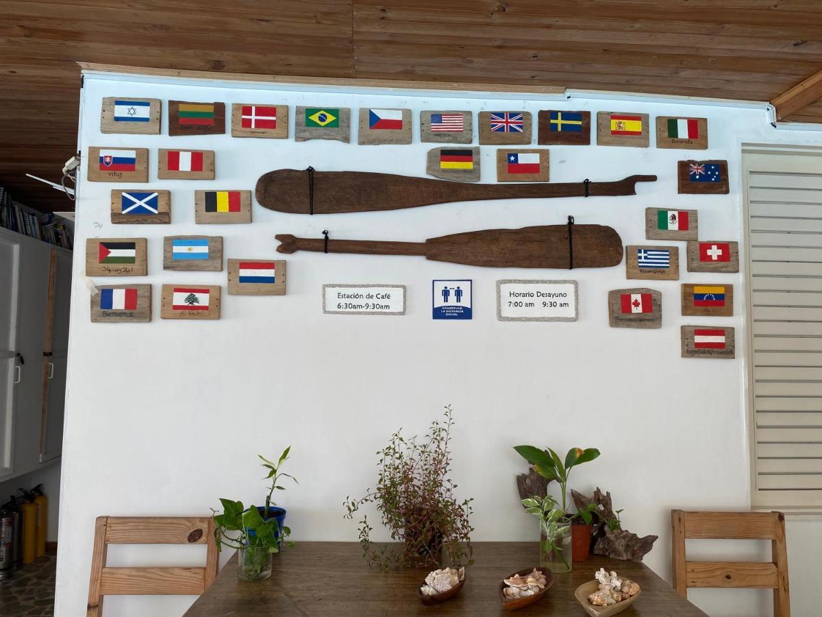 Hotel Casa Sattva- Bed & Breakfast Rincón エクステリア 写真