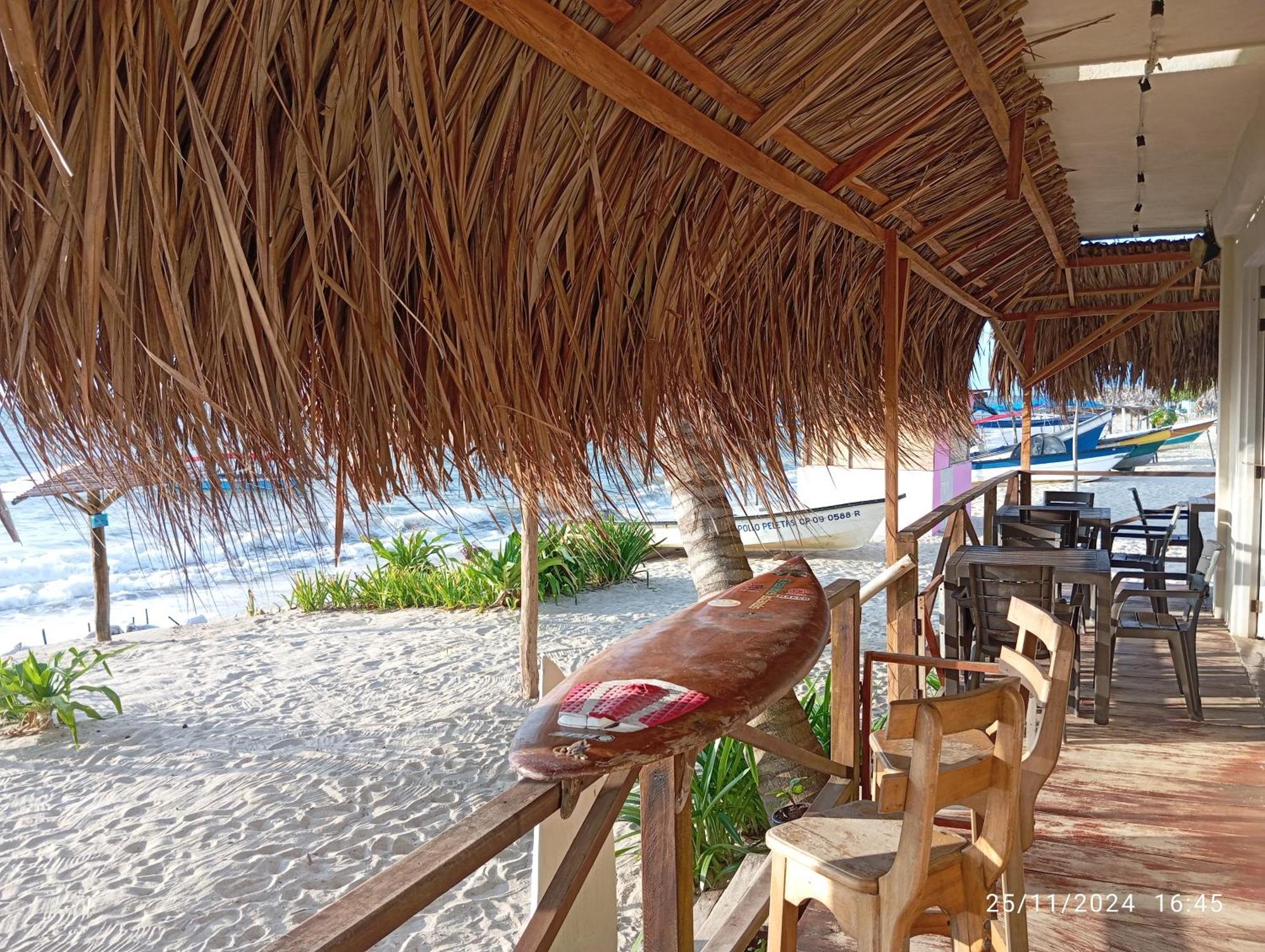 Hotel Casa Sattva- Bed & Breakfast Rincón エクステリア 写真