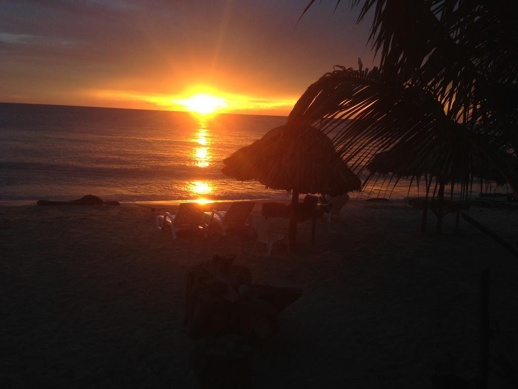 Hotel Casa Sattva- Bed & Breakfast Rincón エクステリア 写真