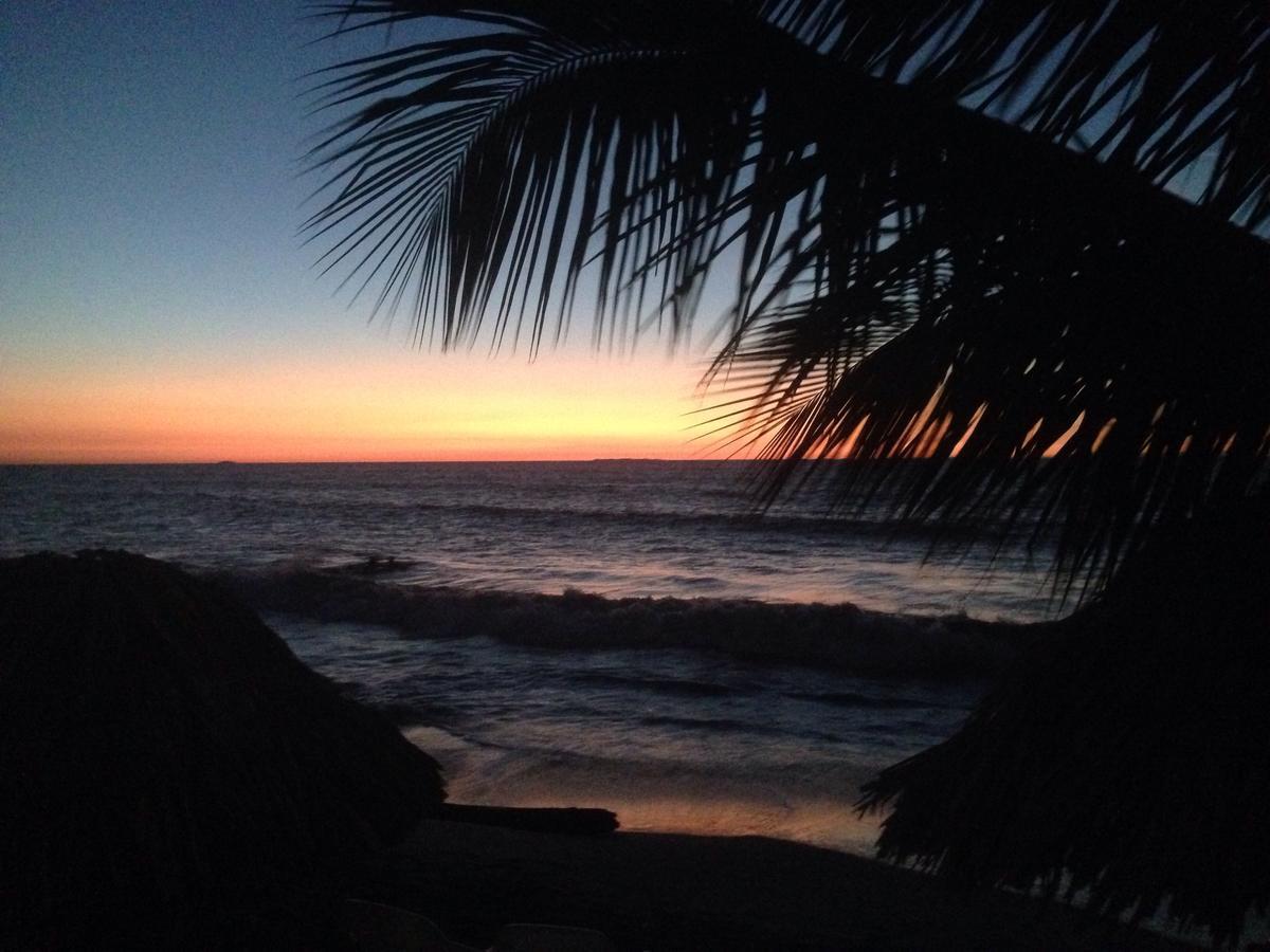 Hotel Casa Sattva- Bed & Breakfast Rincón エクステリア 写真