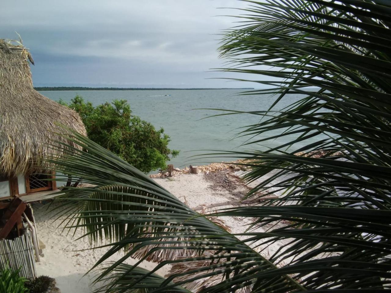 Hotel Casa Sattva- Bed & Breakfast Rincón エクステリア 写真