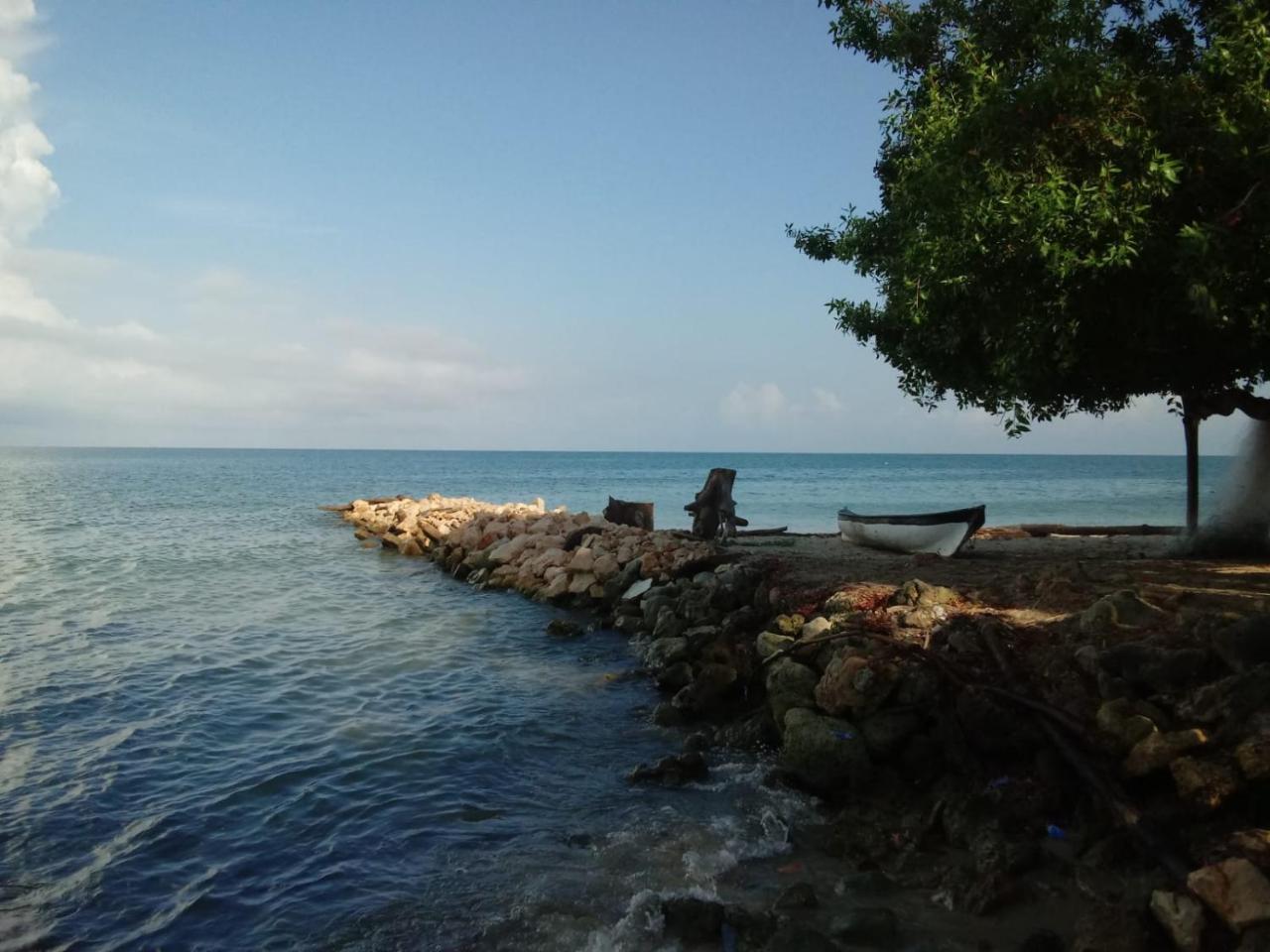 Hotel Casa Sattva- Bed & Breakfast Rincón エクステリア 写真