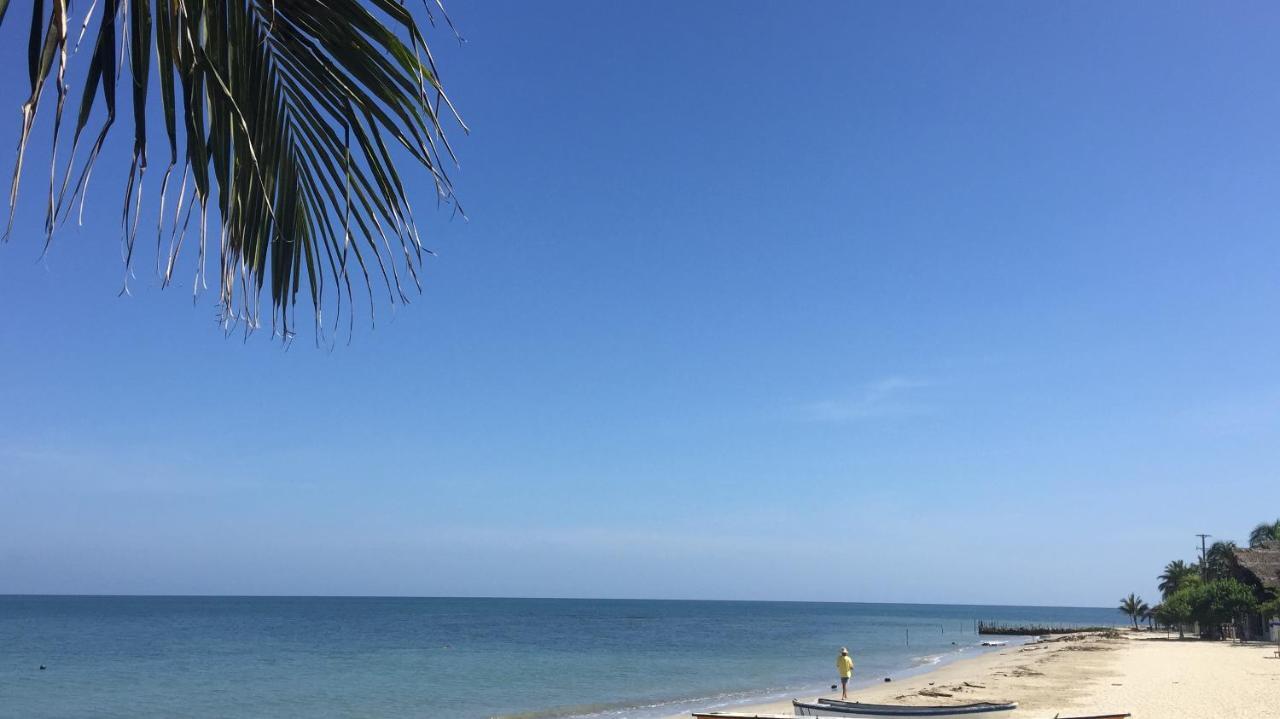 Hotel Casa Sattva- Bed & Breakfast Rincón エクステリア 写真